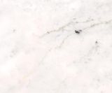 726464 NO119 nude marble vochtwerend wandpaneel Maestro 287x2766mm