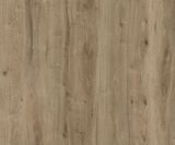 Wise wood SRT 80000172 AEYG001 field oak kurk Wicanders
