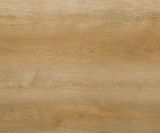 Wood infinitus 80000601 B4TB001 light majestic oak Wicanders