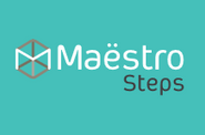 Maestro steps traprenovatie