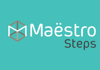 Maestro steps traprenovatie
